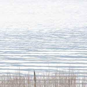 Chiemsee