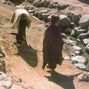 Nouruz75-49.jpg