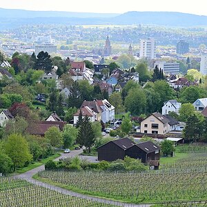 Plena-Heilbronn2.jpg