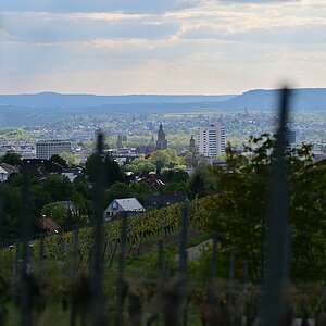 Plena-Heilbronn1.jpg