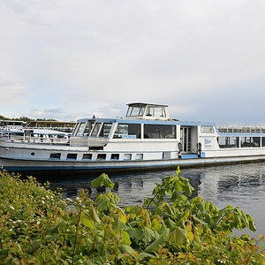 DSC_1962.JPG