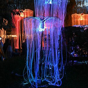 comp_002-Lichtschleier.jpg