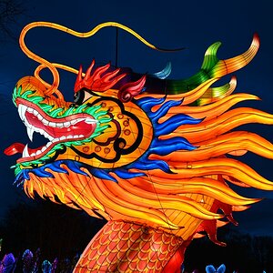 comp_004-Drache groß 2.jpg