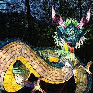 comp_006-Drache klein.jpg
