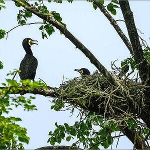 DZ8_3739-Bearbeitet.jpg