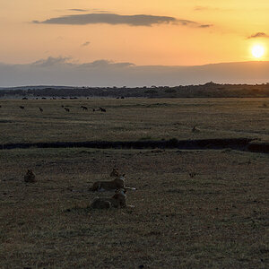 _R056057_20180726_065929_3031Masai Mara 2018_3910Masai Mara 2018.jpg