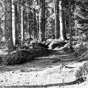 PC280246-Edit.jpg