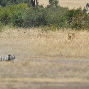 _5RG7055_20180726_121649_2757Masai Mara 2018_3606Masai Mara 2018.jpg