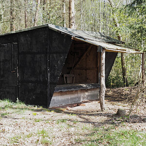 Hämelheide.jpg
