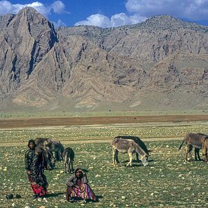 Nouruz74-18.jpg