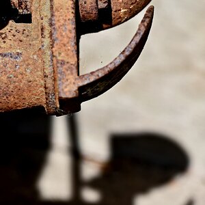 rost_schatten.JPG