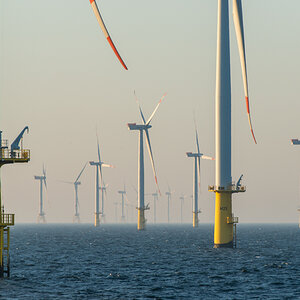AL611 ALKOR NF-F-31.jpg