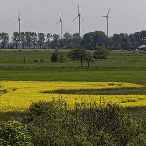 _Z507064_DxOPxl.jpg