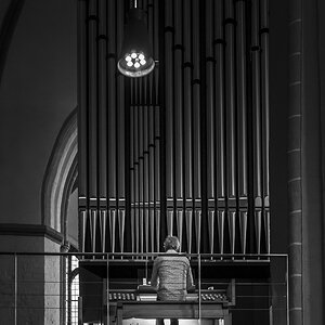 Organist