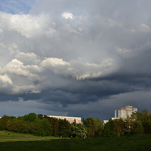 DSC_9461.JPG