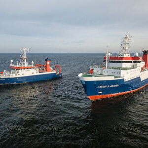 AL611 ALKOR + MSM NF-F-2.jpg