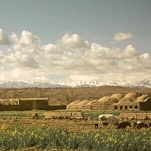 Nouruz75-118.jpg