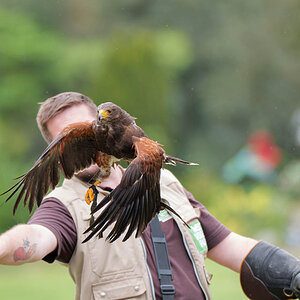 P1232932-2.jpg