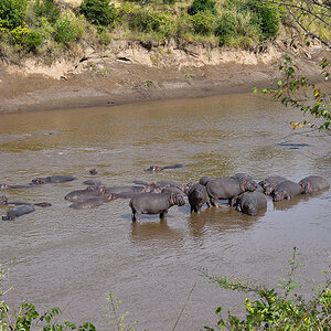 _R057077_20180728_094912_4414Masai Mara 2018_7370Masai Mara 2018.jpg