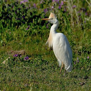 2024_032495_DxO.jpg