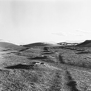 20240326-NIK_6926.jpg