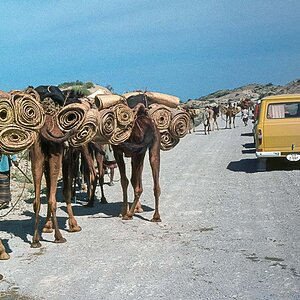 Nouruz75-104.jpg