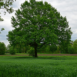 Z8A_0113t10l5s40p1.jpg