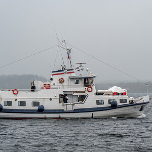 20240412-NZ6_0516.jpg