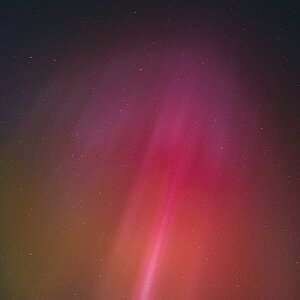 WES_3805.jpg