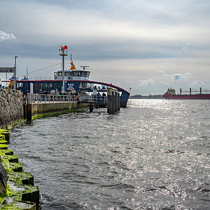 20240413-NZ6_0585.jpg