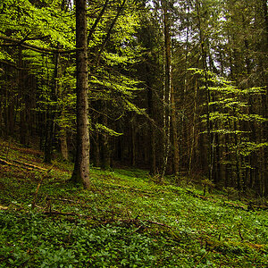 DSC01309-Edit.jpg