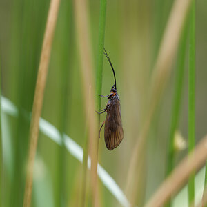 N5130763nikon.jpg