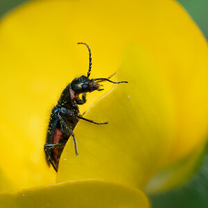 N5130768nikon.jpg