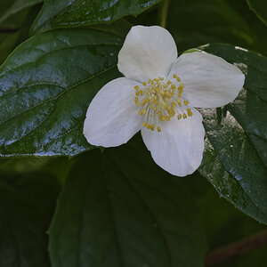 _DSC0522_DxOAxl.jpg