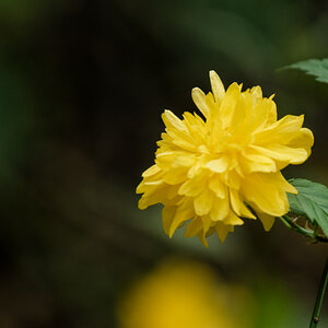 NIKON_2024_00052NF.jpg