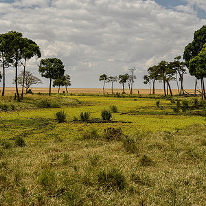 _R058037_20180729_130651_4849Masai Mara 2018_7770Masai Mara 2018.jpg