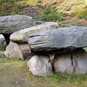 DSC_8040.jpg