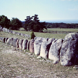 PICT1362.jpg