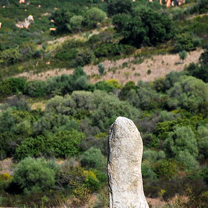 20121005-DSC_0199.jpg