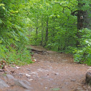 P5123212n.jpg