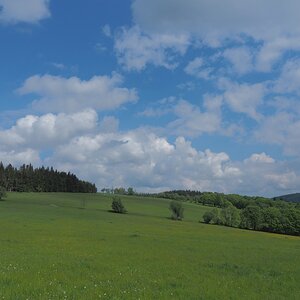 P5123235n.jpg