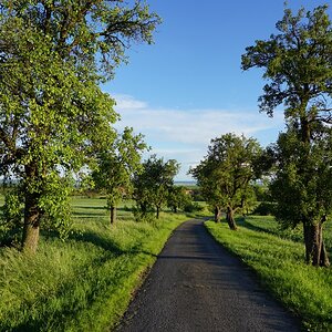 DSC01921n1.jpg