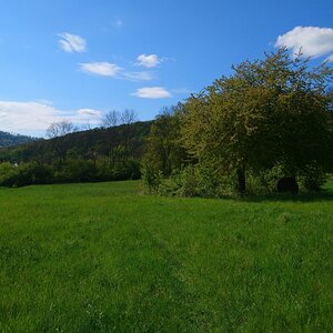 DSC_1350kn.jpg