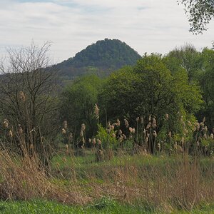 P4233078kn.jpg