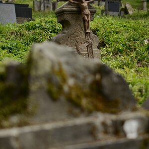 DSC_9545_00001n.jpg