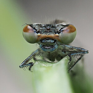 N5251360nikon.jpg