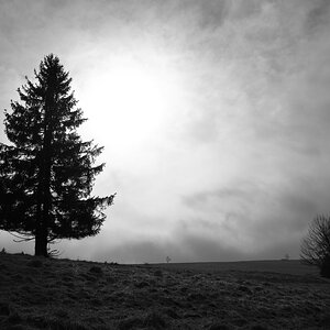 DSC_3191_00001_01n.jpg