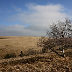 DSC_3242_00001n.jpg