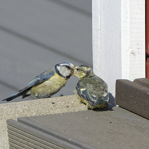 NIKON_2024_00449NF.jpg