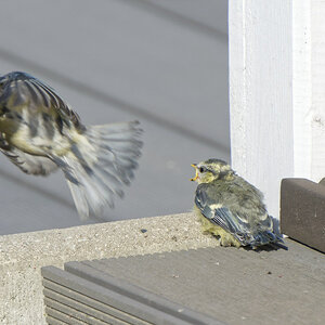 NIKON_2024_00452NF.jpg